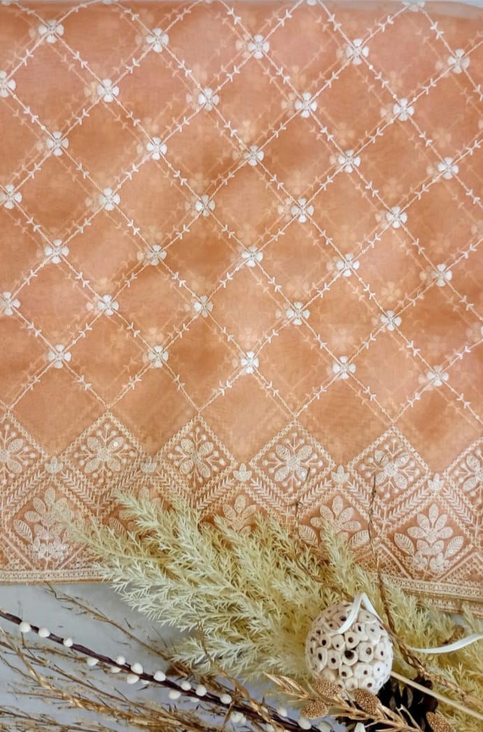 Tissue Fawn dupatta in Lakhnavi work