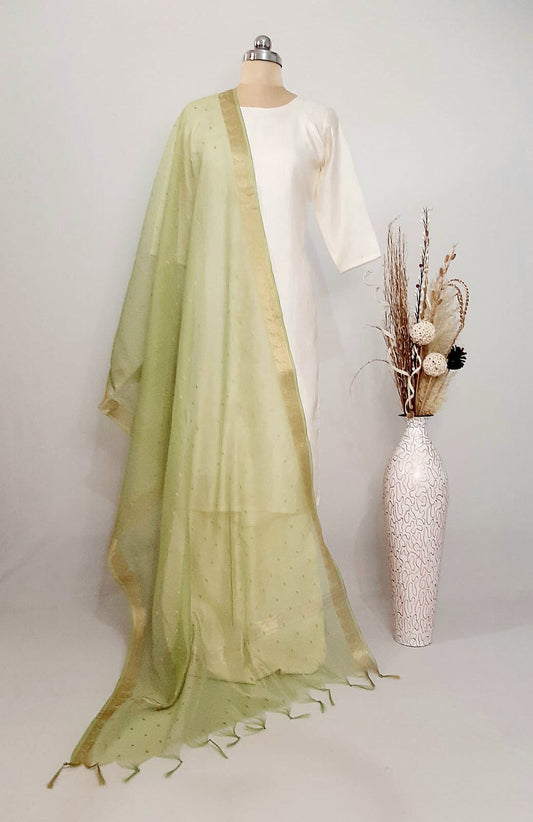 Chanderi Silk Mint Green Buti border Dupatta
