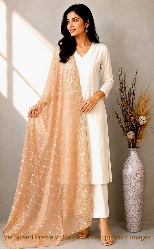 Tissue Fawn dupatta in Lakhnavi work