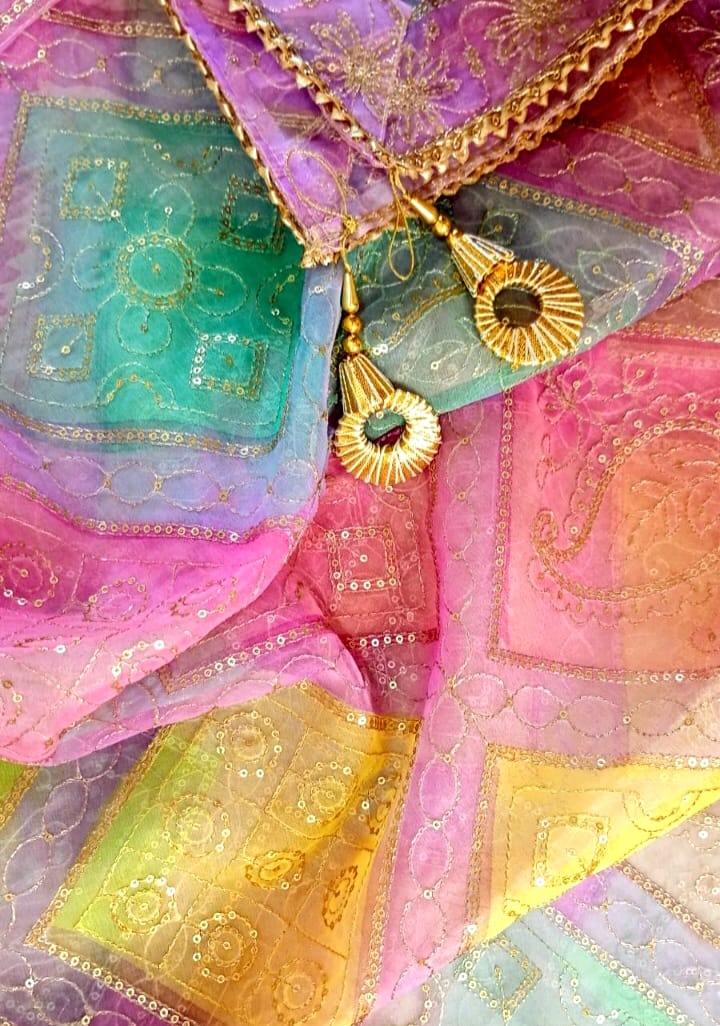 Organza Multicolor Sequins work Dupatta