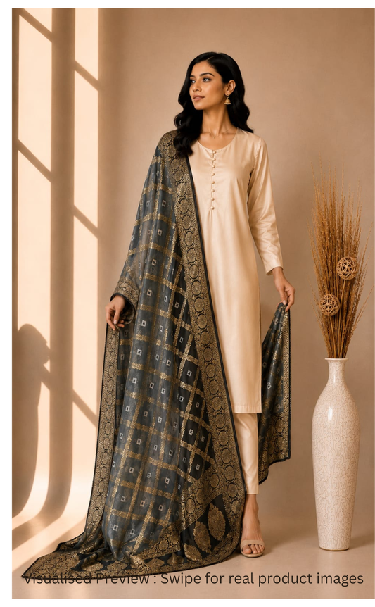 Pure Silk Gharchola Dupatta in Grey and Black